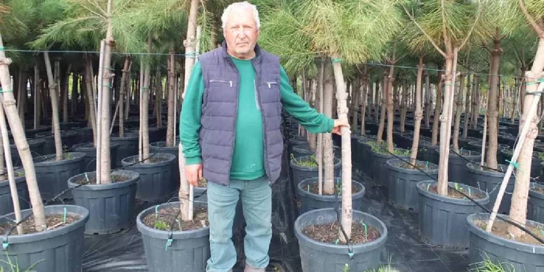 Memurluktan emekli oldu kendini fidanlara adadı: Tam 500 çeşidi sağlığına kavuşturdu 2